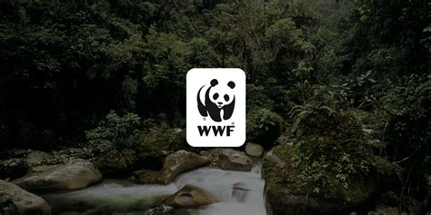 is the world wildlife fund a nonprofit organization